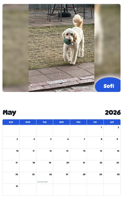 2026 - 2027 Sofi - Pawidols Pet Calendar