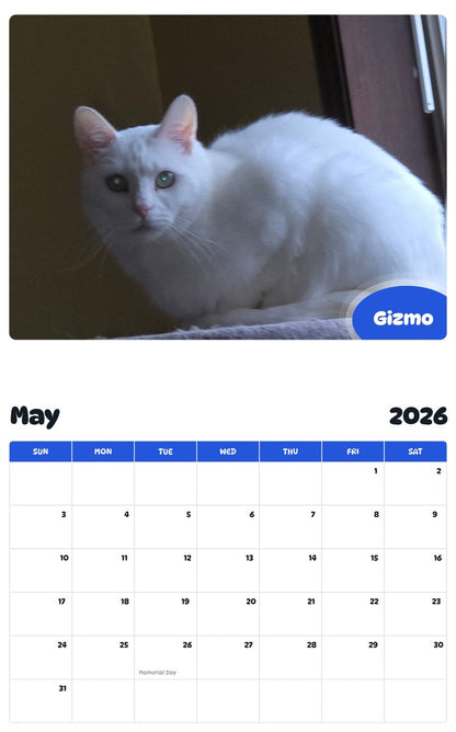 2026 - 2027 Gizmo - Pawidols Pet Calendar
