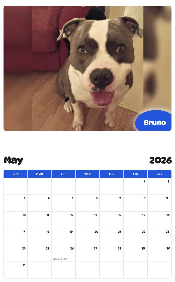 2026 - 2027 Bruno - Pawidols Pet Calendar