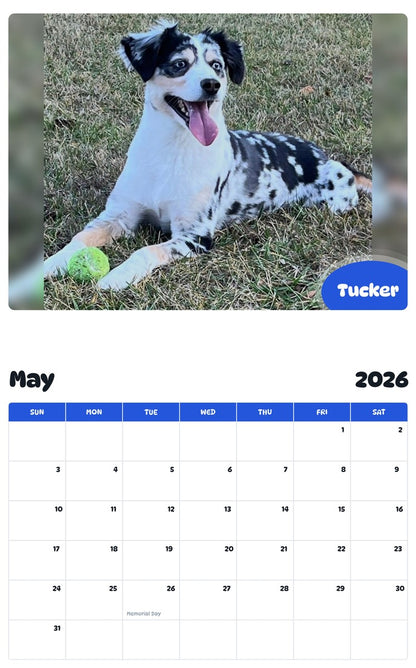 2026 - 2027 Tucker - Pawidols Pet Calendar