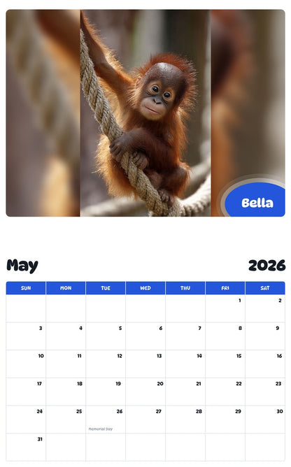 2026 - 2027 Bella - Pawidols Pet Calendar