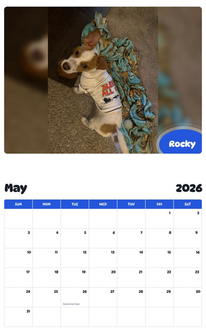 2026 - 2027 Rocky - Pawidols Pet Calendar