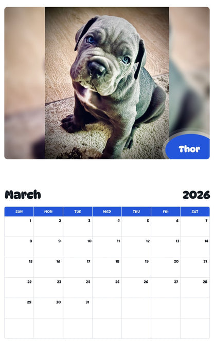 November 2025 - October 2026 Thor - Pawidols Pet Calendar