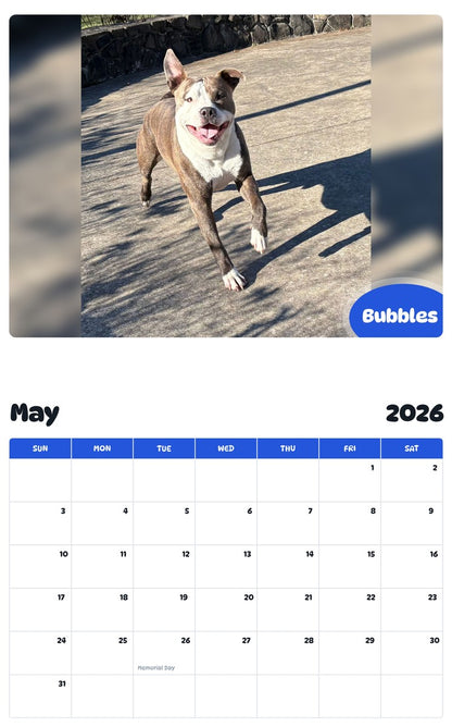 2026 - 2027 Bubbles - Pawidols Pet Calendar