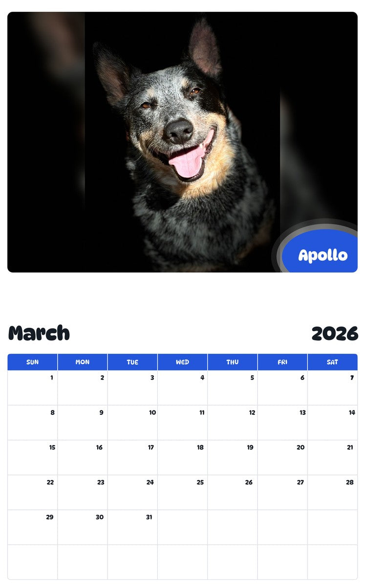 November 2025 - October 2026 Apollo - Pawidols Pet Calendar
