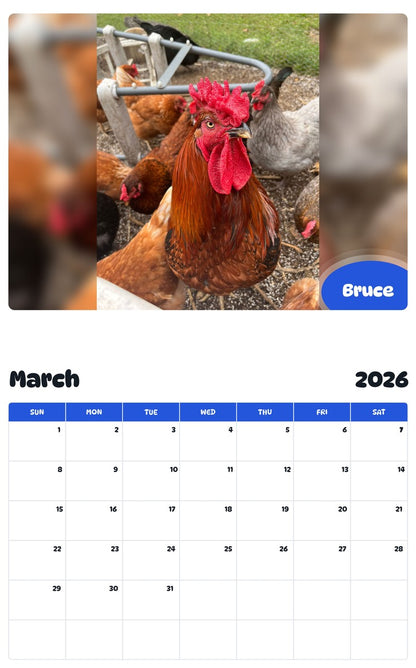 November 2025 - October 2026 Bruce - Pawidols Pet Calendar