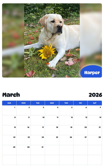 November 2025 - October 2026 Harper - Pawidols Pet Calendar