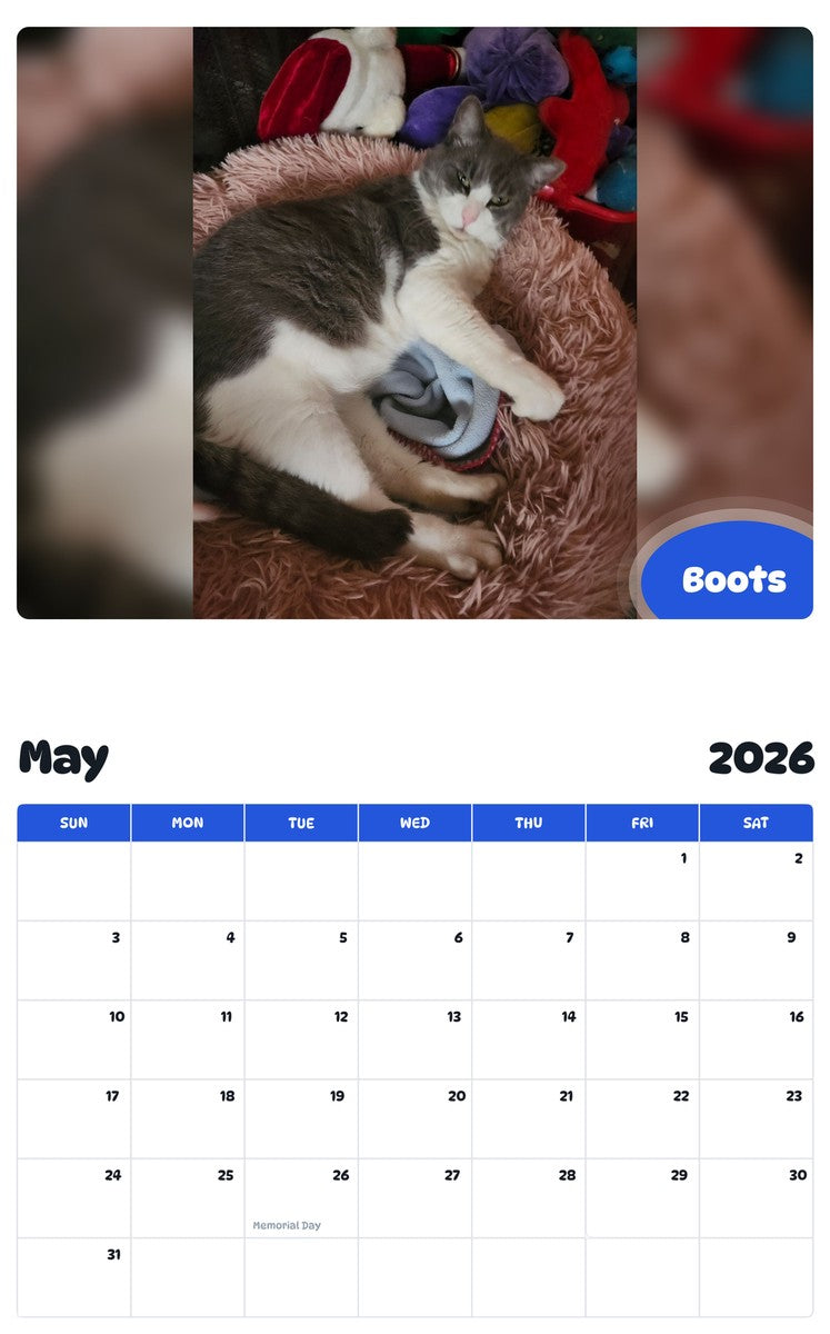 2026 - 2027 Boots - Pawidols Pet Calendar