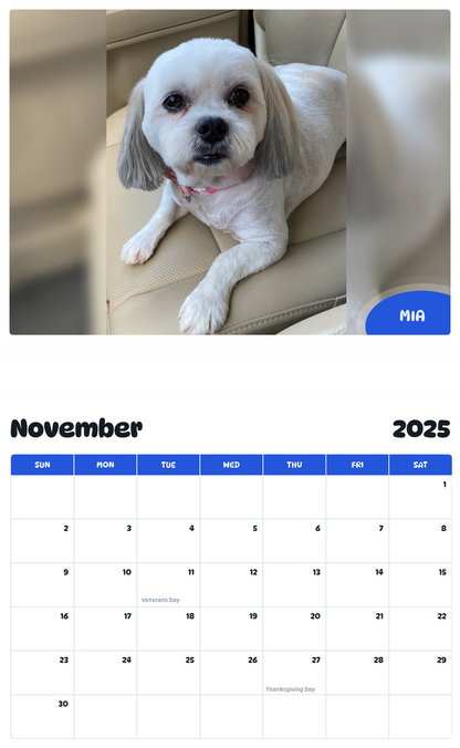 July 2025 - June 2026 Mia - Pawidols Pet Calendar