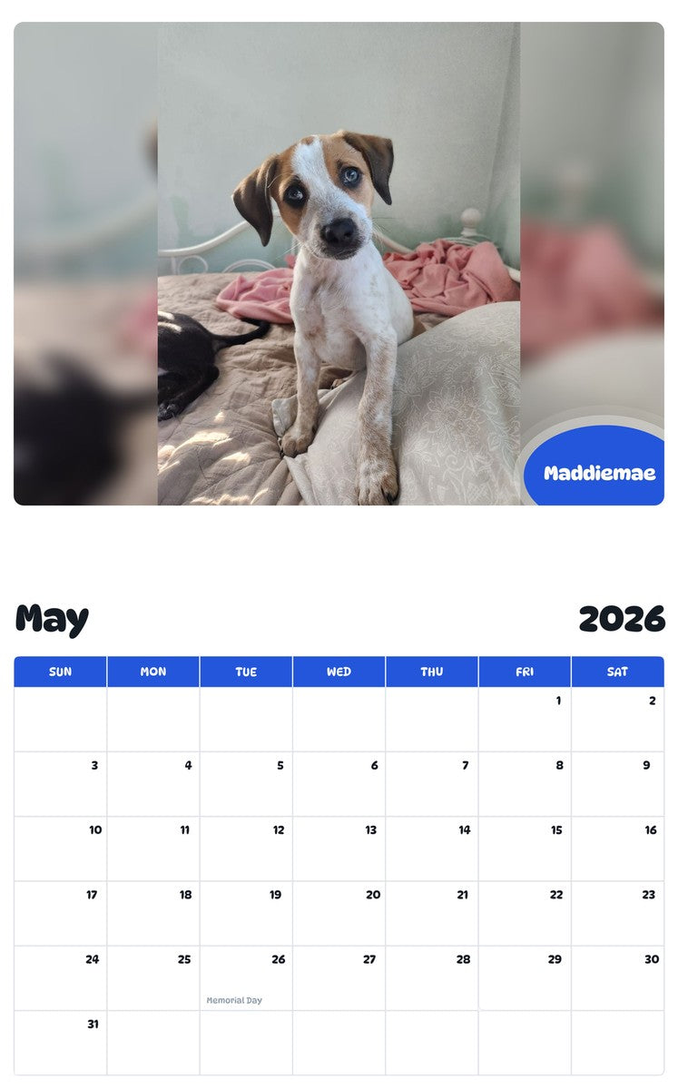 2026 - 2027 Maddiemae - Pawidols Pet Calendar