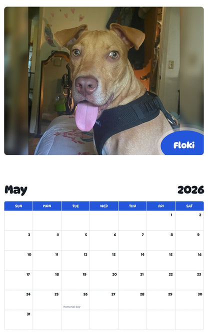 2026 - 2027 Floki - Pawidols Pet Calendar