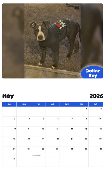2026 - 2027 Dollar Boy - Pawidols Pet Calendar