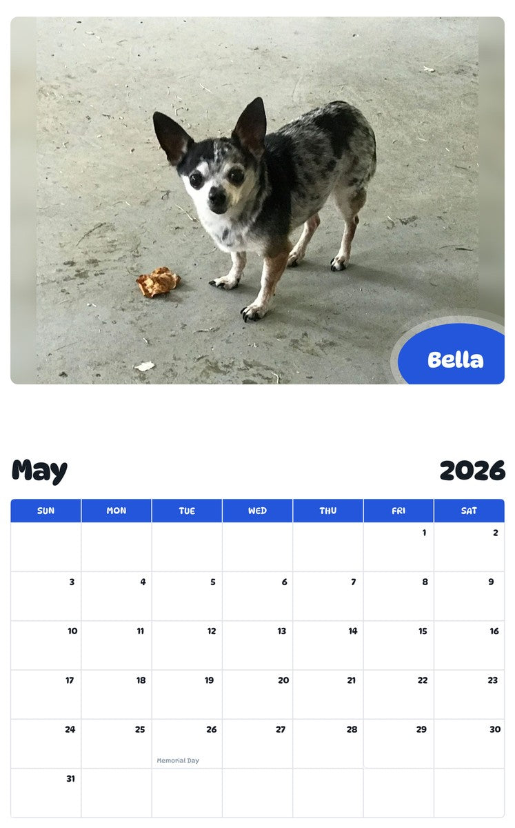 2026 - 2027 Bella - Pawidols Pet Calendar
