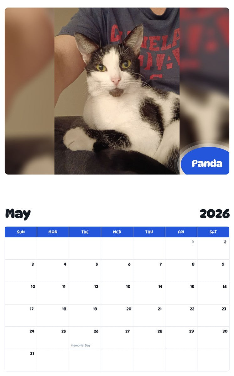 2026 - 2027 Panda - Pawidols Pet Calendar