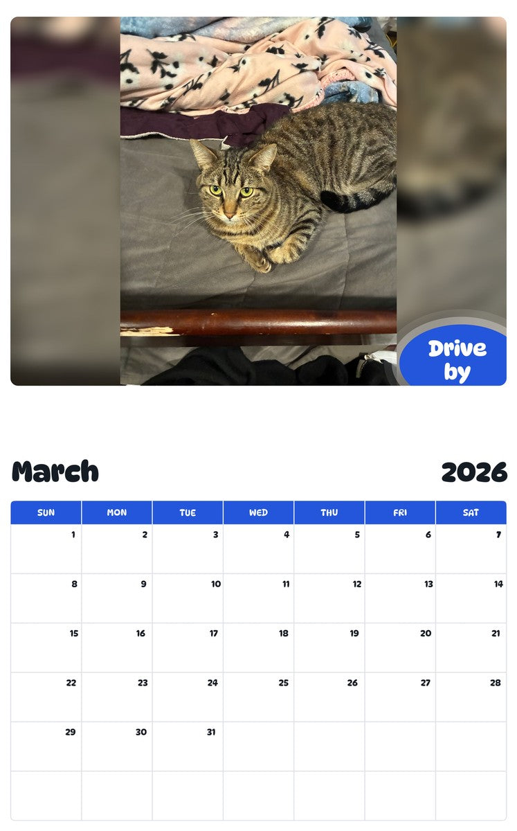 November 2025 - October 2026 Drive by - Pawidols Pet Calendar