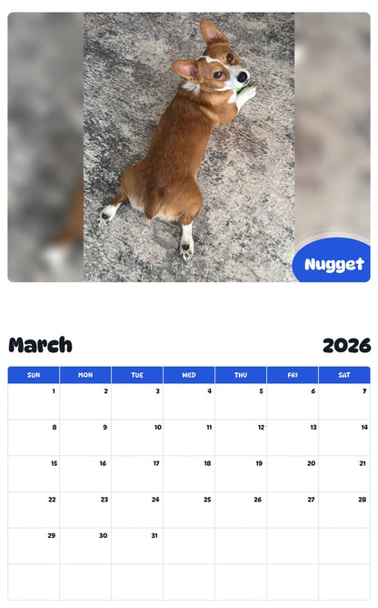 November 2025 - October 2026 Nugget - Pawidols Pet Calendar