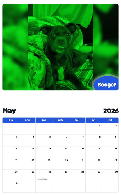 2026 - 2027 Booger - Pawidols Pet Calendar