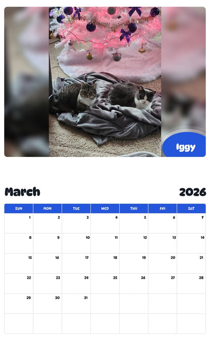 November 2025 - October 2026 Iggy - Pawidols Pet Calendar
