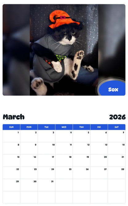 November 2025 - October 2026 Sox - Pawidols Pet Calendar