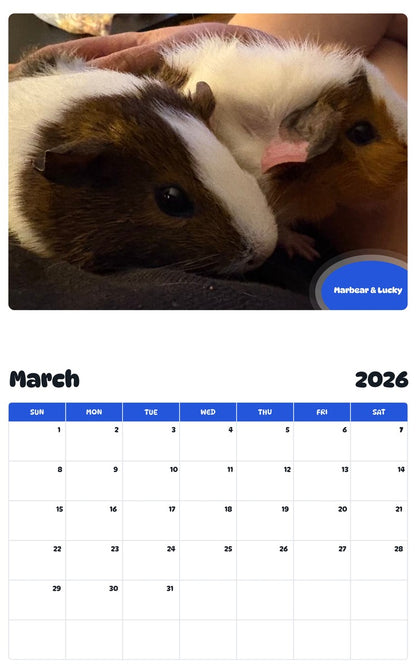 November 2025 - October 2026 Marbear & Lucky - Pawidols Pet Calendar