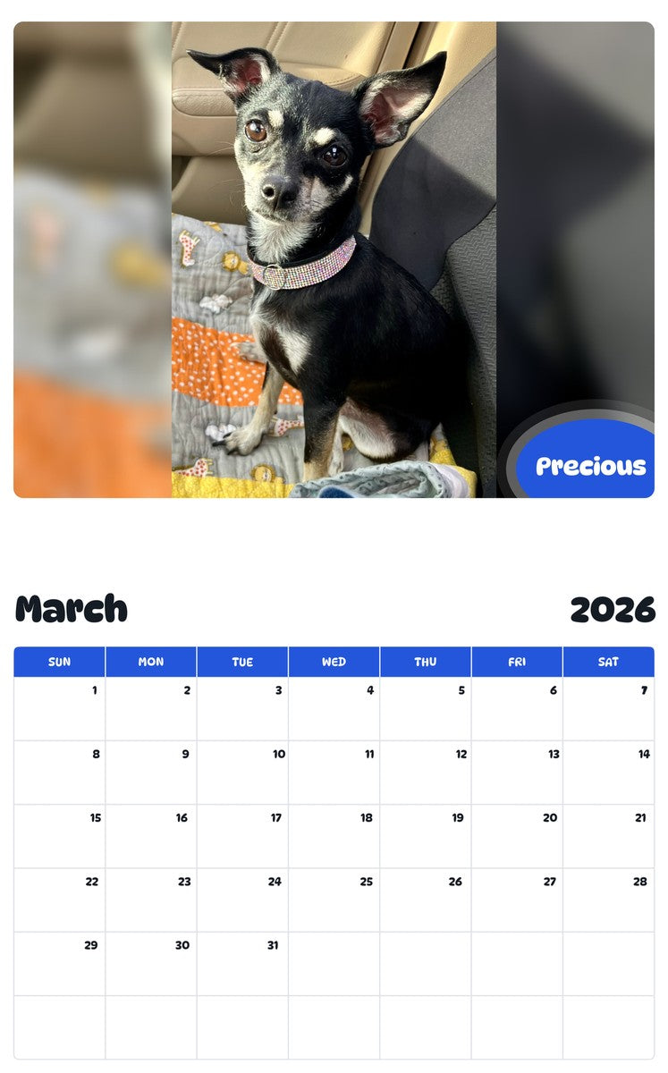 November 2025 - October 2026 Precious - Pawidols Pet Calendar