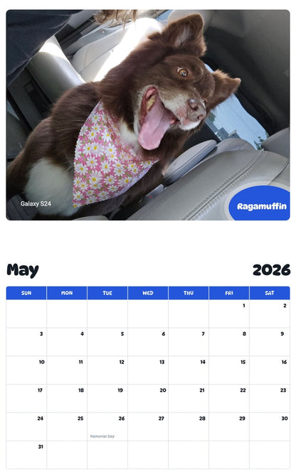 2026 - 2027 Ragamuffin - Pawidols Pet Calendar