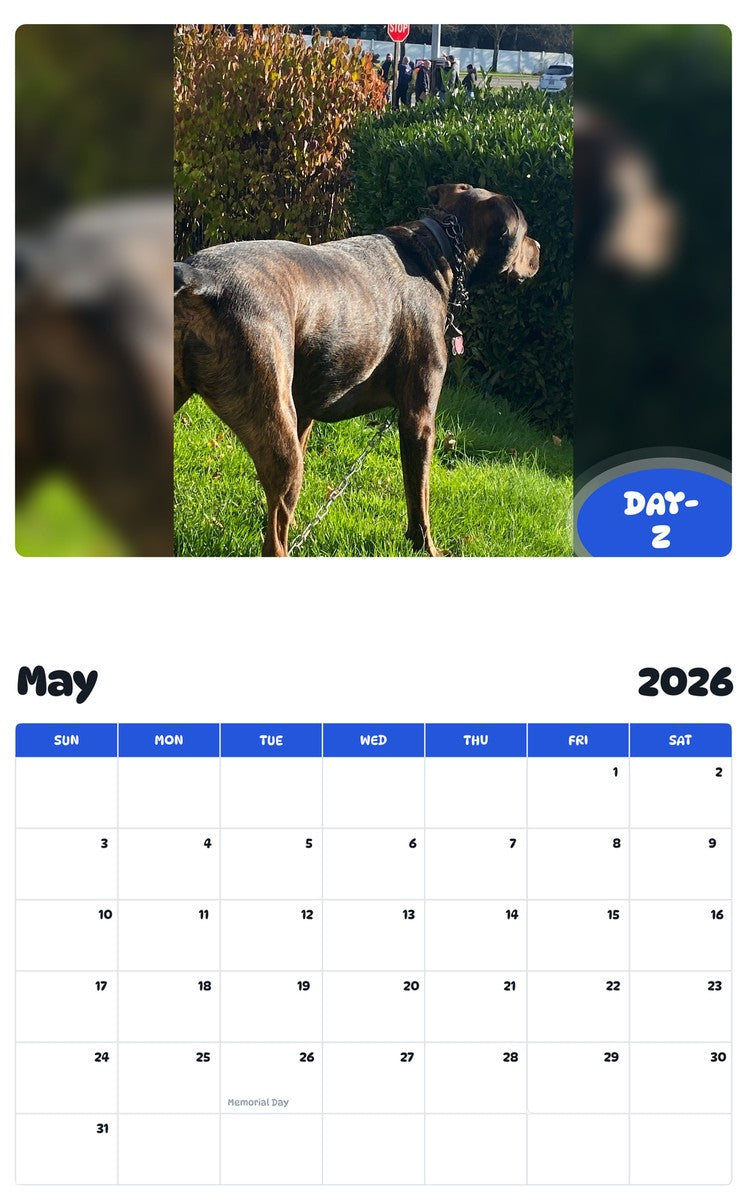 2026 - 2027 DAY-Z - Pawidols Pet Calendar