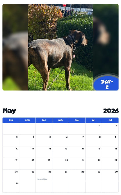 2026 - 2027 DAY-Z - Pawidols Pet Calendar