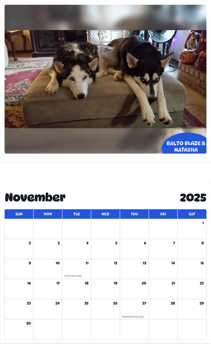 July 2025 - June 2026 Balto Blaze & Natasha - Pawidols Pet Calendar