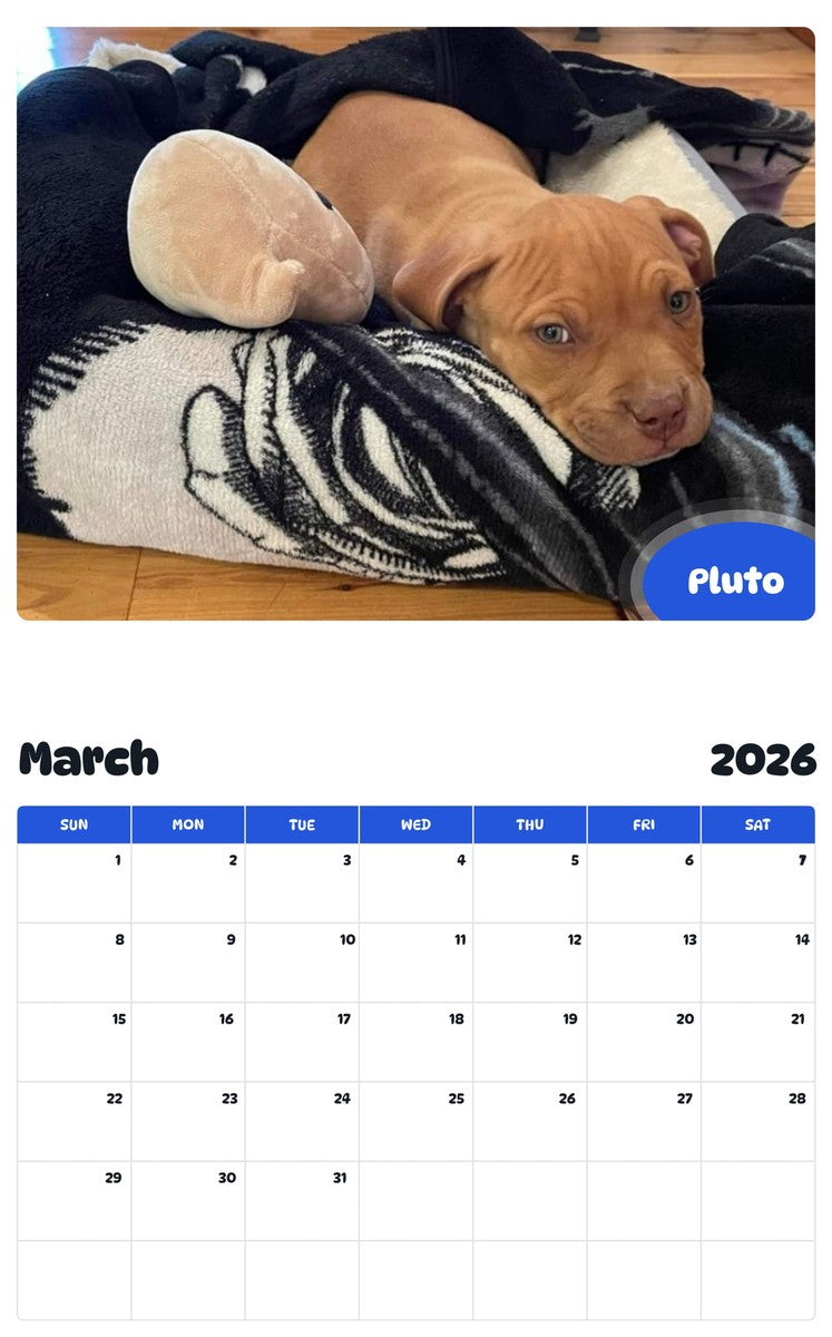 November 2025 - October 2026 Pluto - Pawidols Pet Calendar