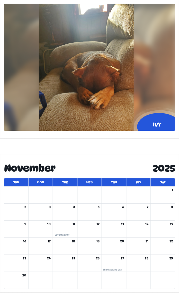 July 2025 - June 2026 Ivy - Pawidols Pet Calendar