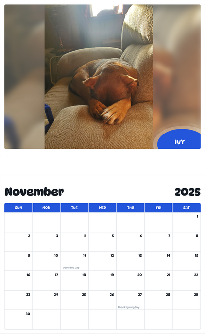 July 2025 - June 2026 Ivy - Pawidols Pet Calendar