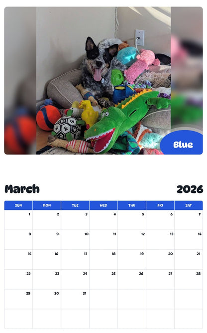 November 2025 - October 2026 Blue - Pawidols Pet Calendar