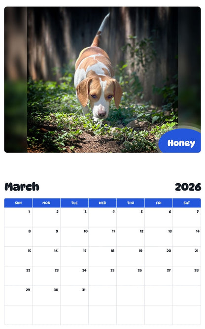 November 2025 - October 2026 Honey - Pawidols Pet Calendar