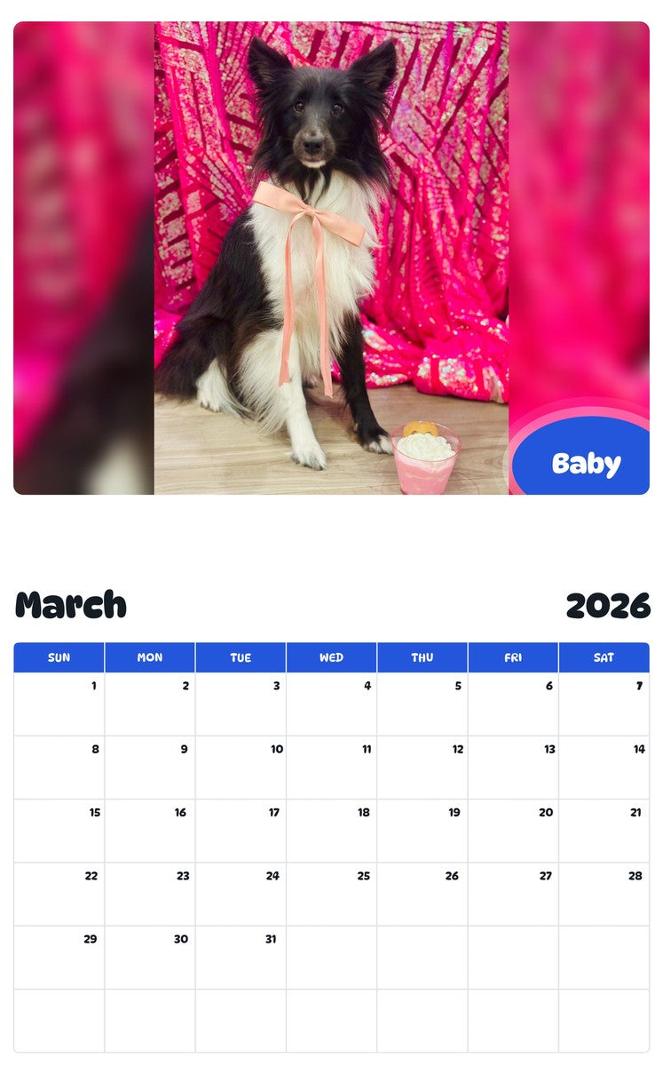 November 2025 - October 2026 Baby - Pawidols Pet Calendar