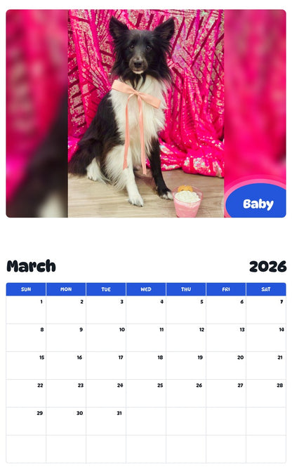 November 2025 - October 2026 Baby - Pawidols Pet Calendar
