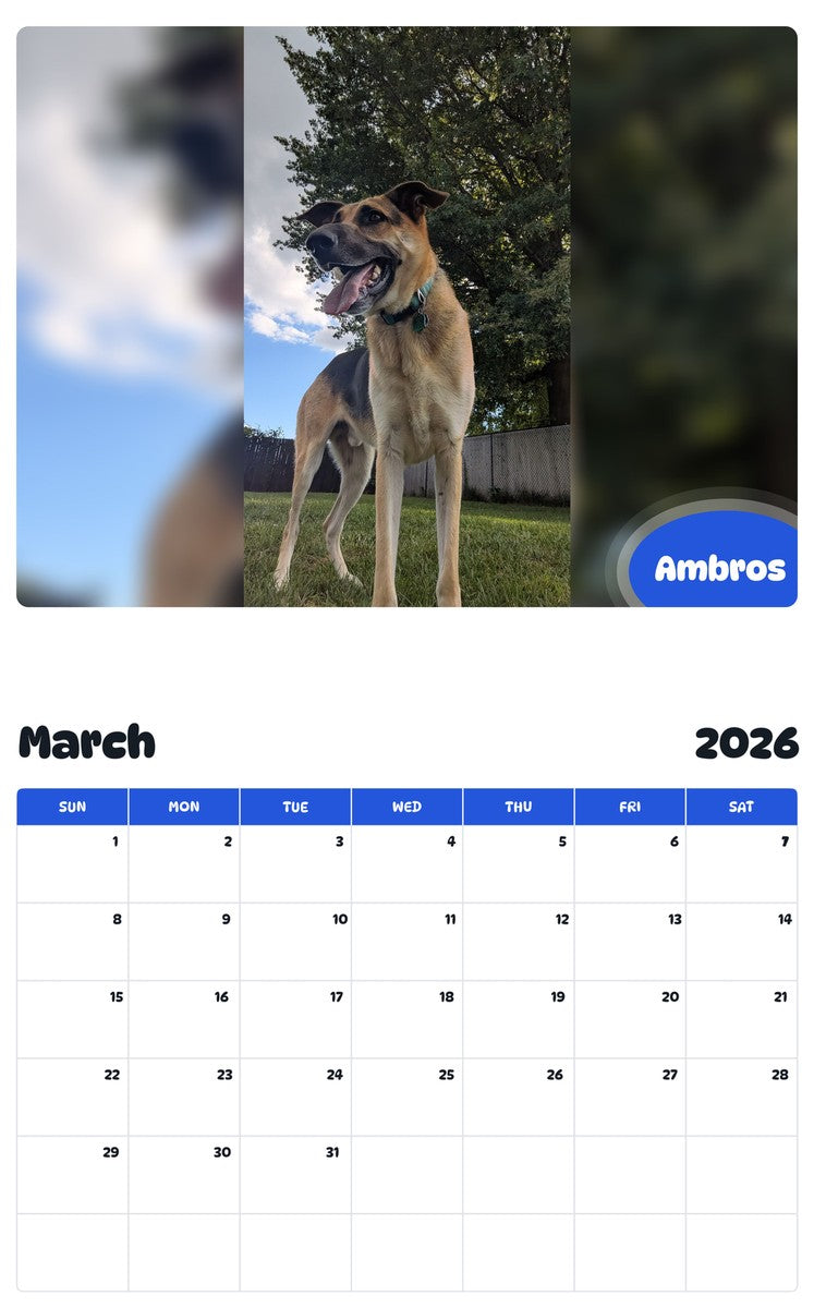November 2025 - October 2026 Ambros - Pawidols Pet Calendar