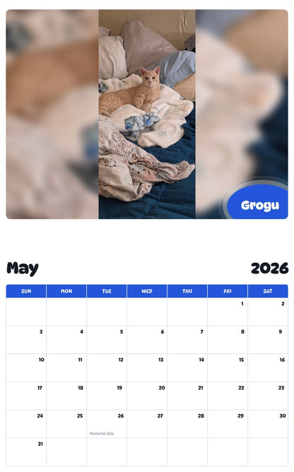 2026 - 2027 Grogu - Pawidols Pet Calendar