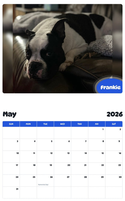 2026 - 2027 Frankie - Pawidols Pet Calendar
