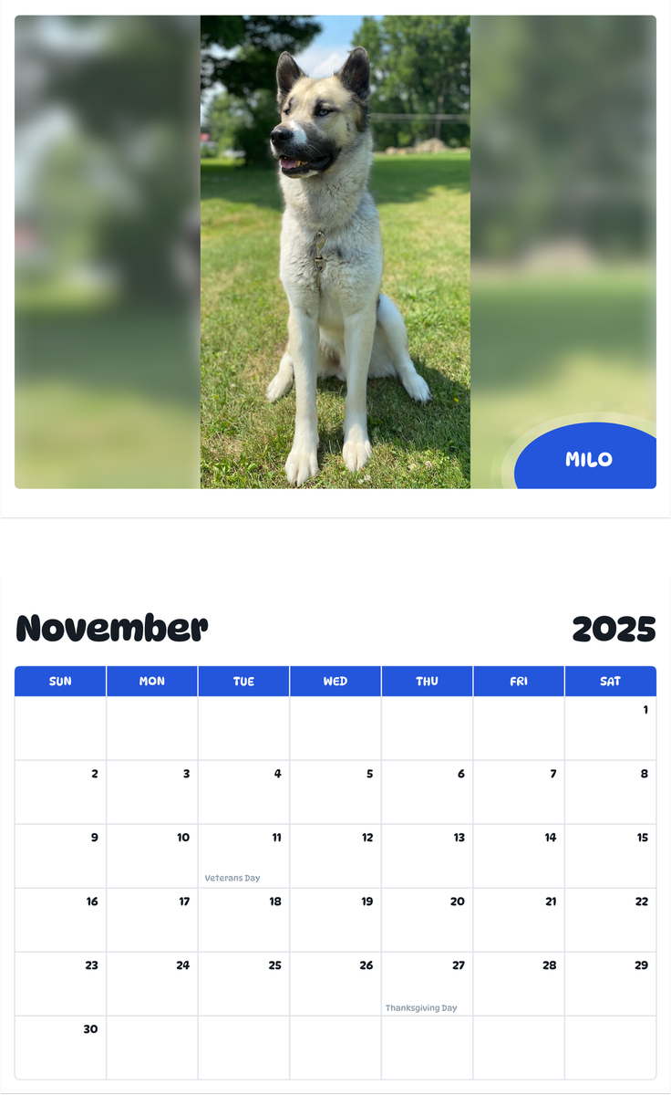 July 2025 - June 2026 milo - Pawidols Pet Calendar