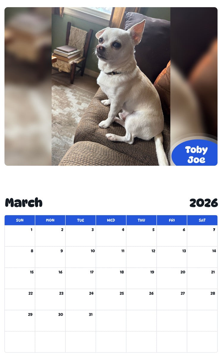 November 2025 - October 2026 Toby Joe - Pawidols Pet Calendar