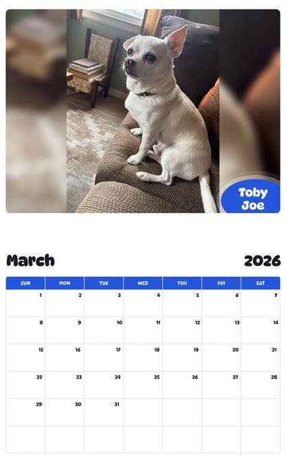 November 2025 - October 2026 Toby Joe - Pawidols Pet Calendar
