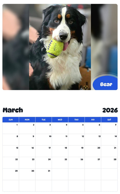 November 2025 - October 2026 Bear - Pawidols Pet Calendar