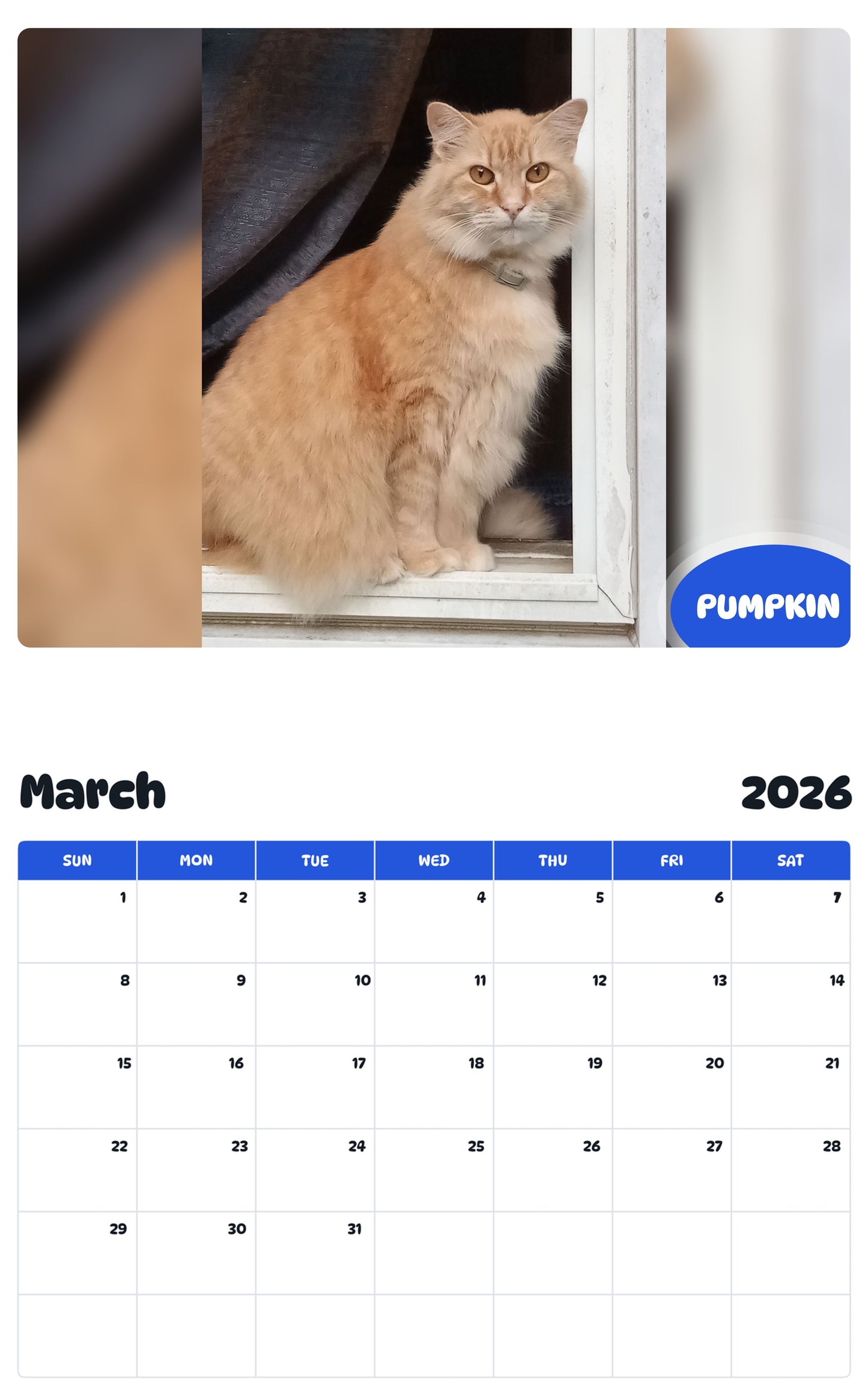 November 2025 - October 2026 PUMPKIN - Pawidols Pet Calendar