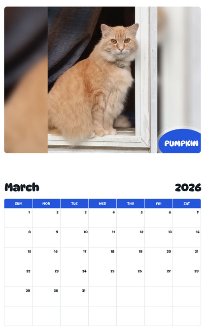 November 2025 - October 2026 PUMPKIN - Pawidols Pet Calendar