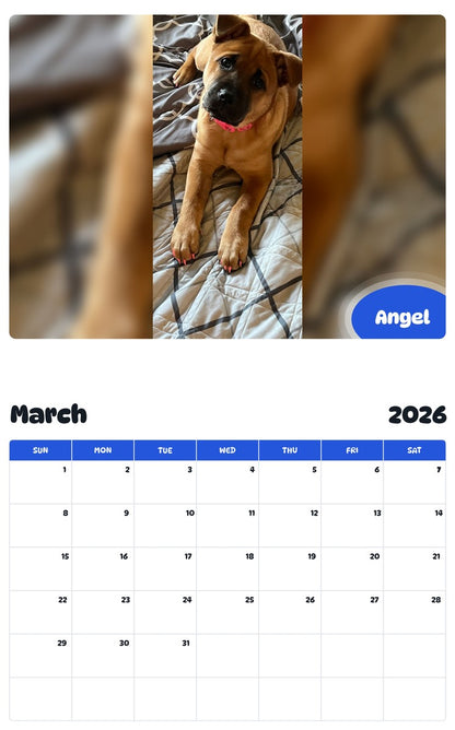 November 2025 - October 2026 Angel - Pawidols Pet Calendar