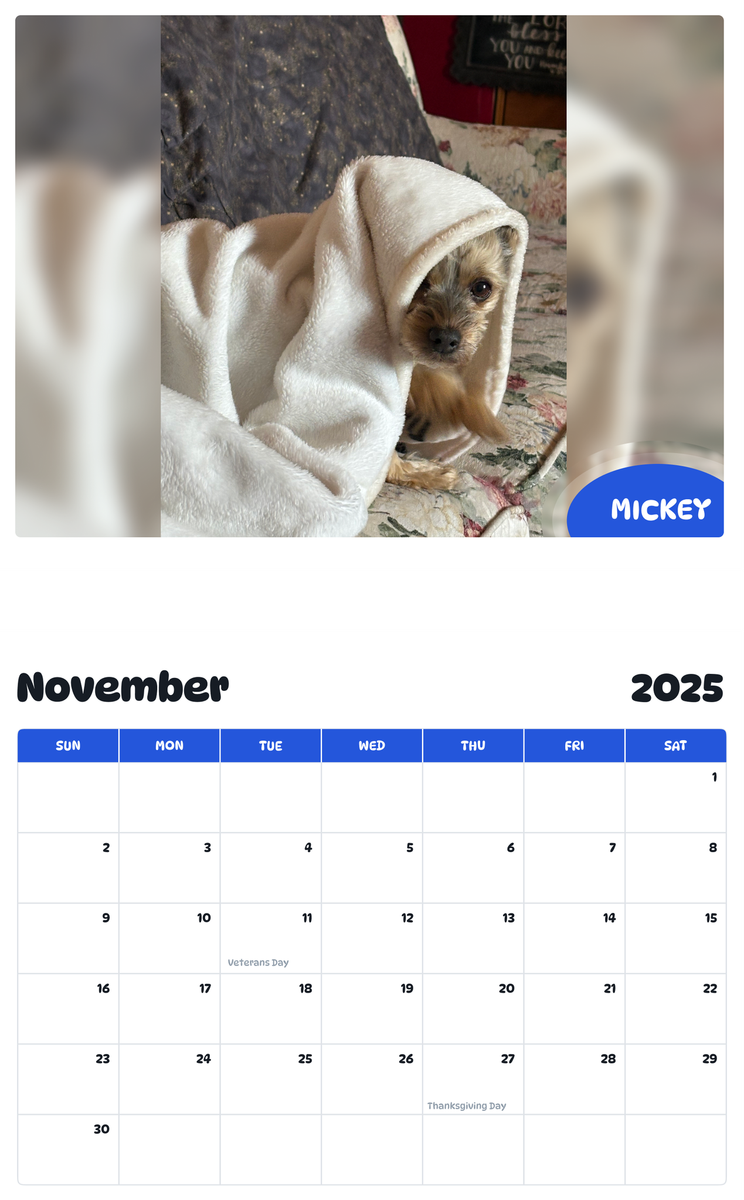 July 2025 - June 2026 Mickey - Pawidols Pet Calendar