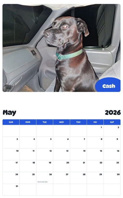 2026 - 2027 Cash - Pawidols Pet Calendar