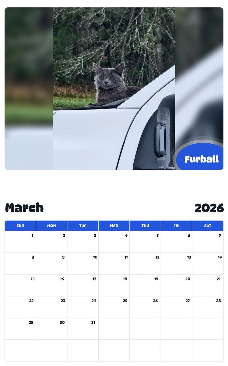 November 2025 - October 2026 Furball - Pawidols Pet Calendar