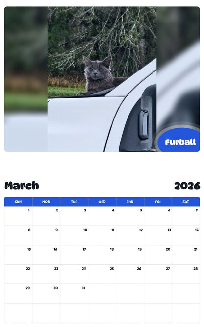 November 2025 - October 2026 Furball - Pawidols Pet Calendar